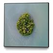 Giant Art Canvas  20x20 Lonely Island Framed in Green