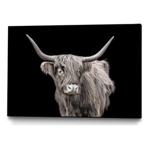 Giant Art Canvas  36x24 A New Kid in Town Framed in Pink