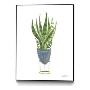 Giant Art Canvas  30x40 Green House Plants IV Framed in Yellow