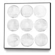 Giant Art Canvas  20x20 Soft Circles II Framed in Multi-Color