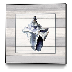 Giant Art Canvas  30x30 Muted Blue Sea Conch On Wood Framed in Multi-Color