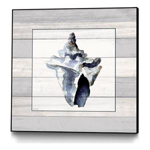 Giant Art Canvas  20x20 Muted Blue Sea Conch On Wood Framed in Multi-Color