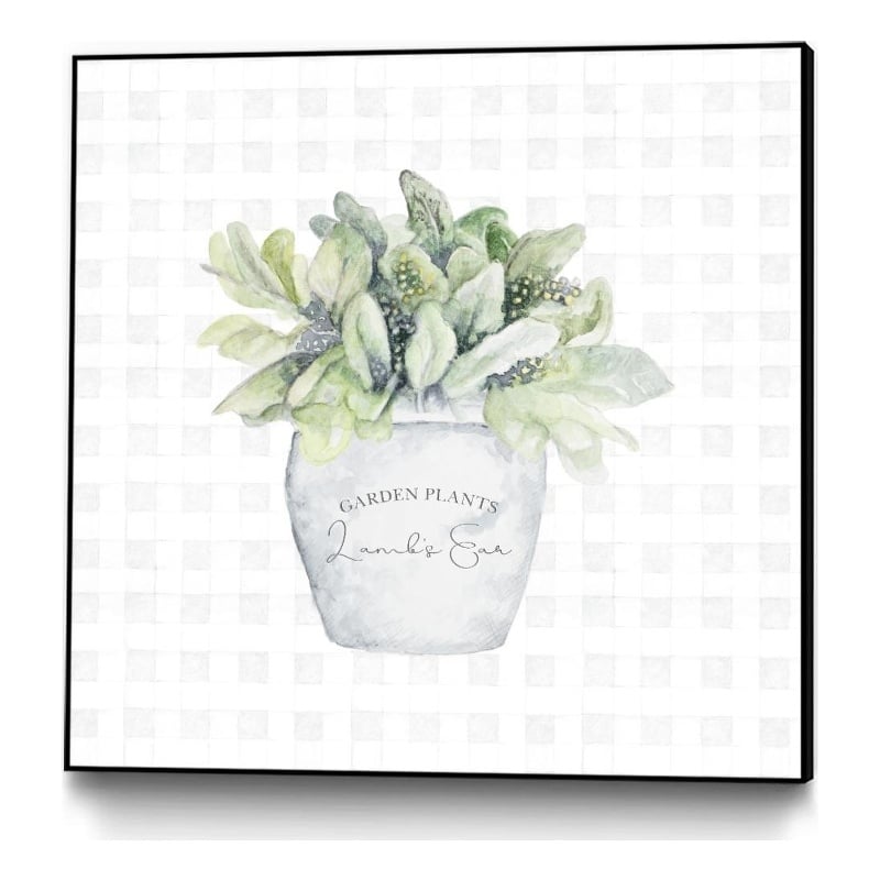 Giant Art Canvas  30x30 Garden Plants III Framed in Multi-Color