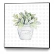 Giant Art Canvas  30x30 Garden Plants III Framed in Multi-Color