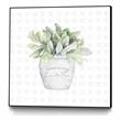 Giant Art Canvas  20x20 Garden Plants III Framed in Multi-Color
