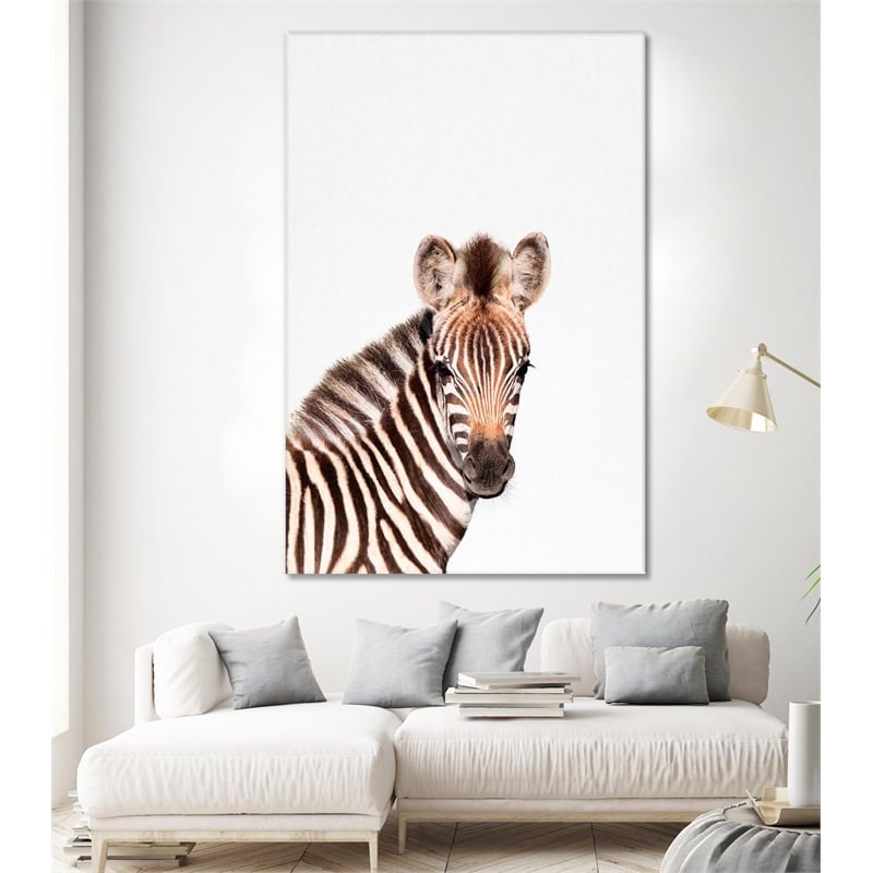 Giant Art 72x48 Baby Zebra Fine Art Giant Canvas Print in Multi-Color