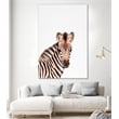 Giant Art 72x48 Baby Zebra Fine Art Giant Canvas Print in Multi-Color