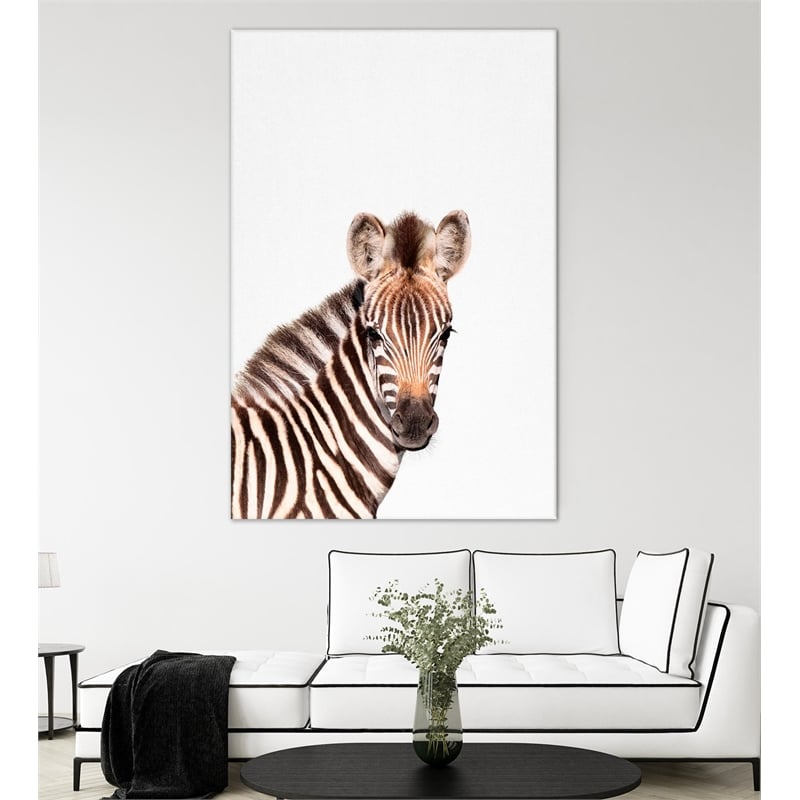 Giant Art 72x48 Baby Zebra Fine Art Giant Canvas Print in Multi-Color