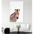 Giant Art 72x48 Baby Zebra Fine Art Giant Canvas Print in Multi-Color