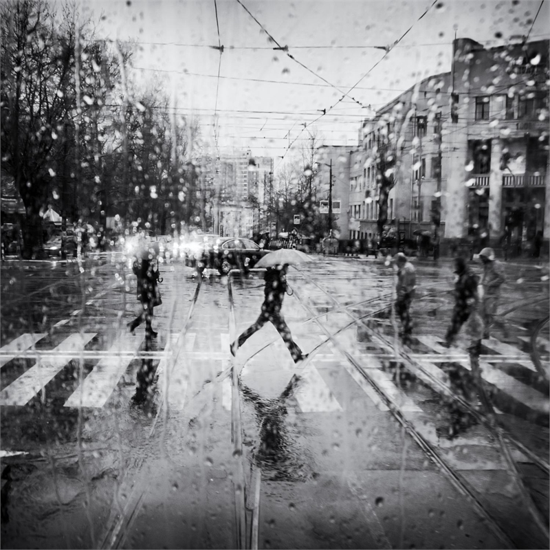 Giant Art 72x72 The Decisive Leap Fine Art Giant Canvas Print in White