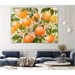 Giant Art 72x54 Tropical Oranges Fine Art Giant Canvas Print in Multi-Color