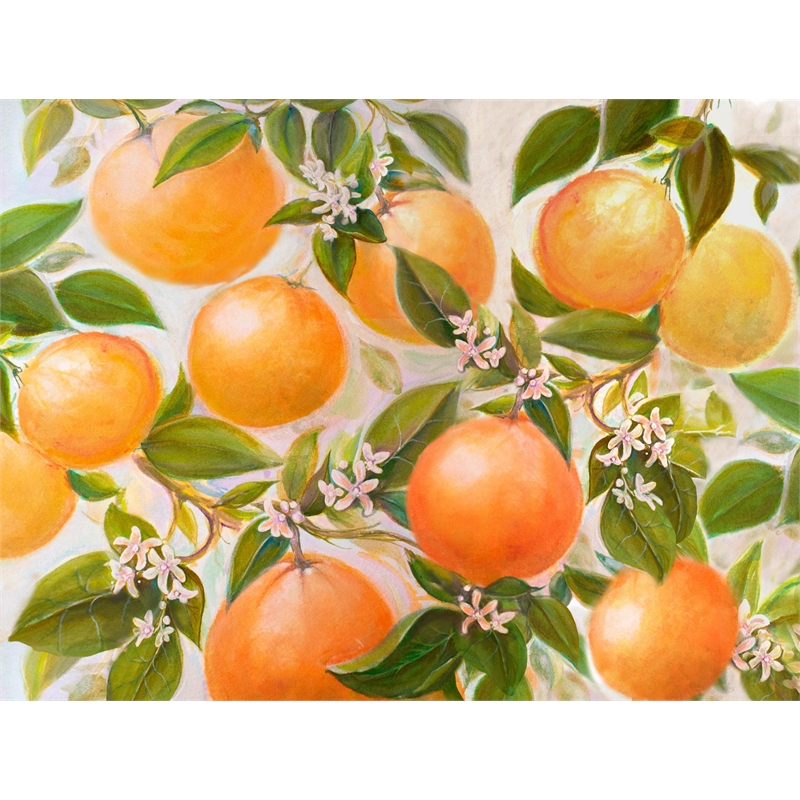 Giant Art 72x54 Tropical Oranges Fine Art Giant Canvas Print in Multi-Color
