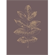 Giant Art 72x54 Botanica 2 Fine Art Giant Canvas Print in Multi-Color