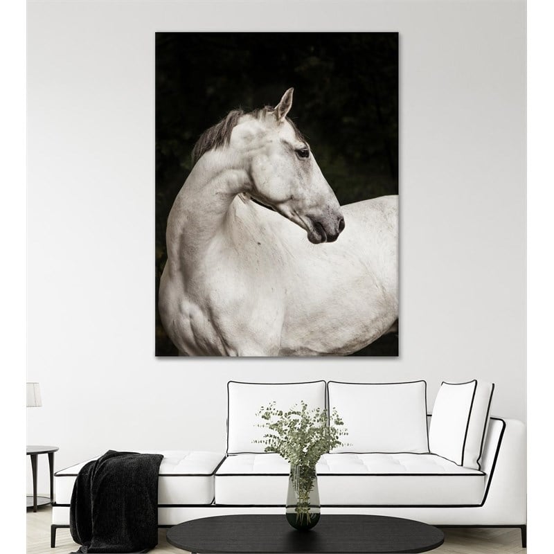 Giant Art 72x54 Elegant Fine Art Giant Canvas Print in White
