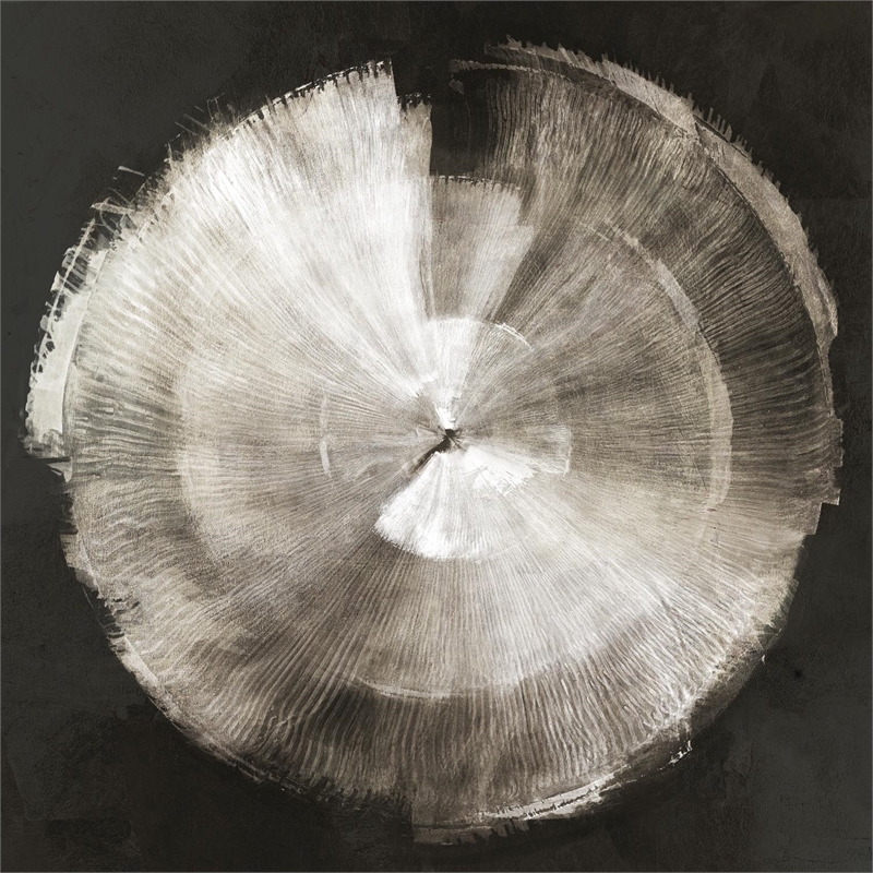 Giant Art 84x84 Touch of Silver Fine Art Giant Canvas Print in Multi-Color