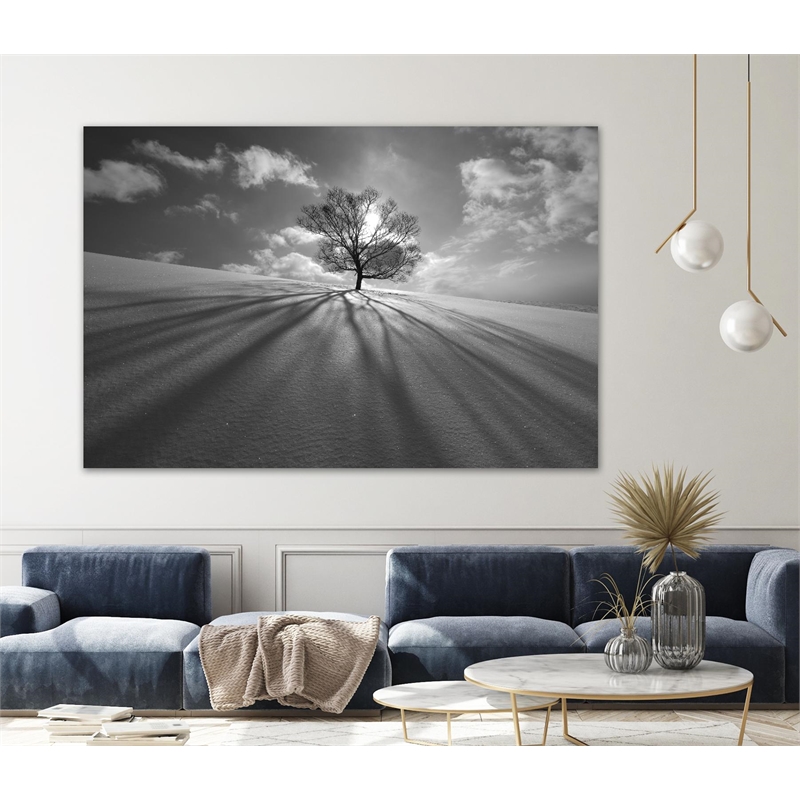 Giant Art 72x48 Tree Shadow Fine Art Giant Canvas Print in White