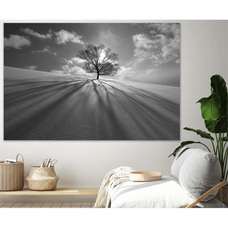 Giant Art 72x48 Tree Shadow Fine Art Giant Canvas Print in White