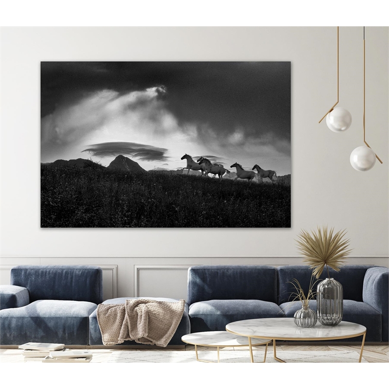 Giant Art 84x54 Before the storm Fine Art Giant Canvas Print in White