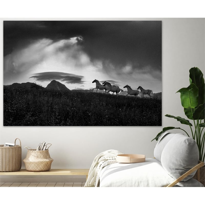 Giant Art 84x54 Before the storm Fine Art Giant Canvas Print in White