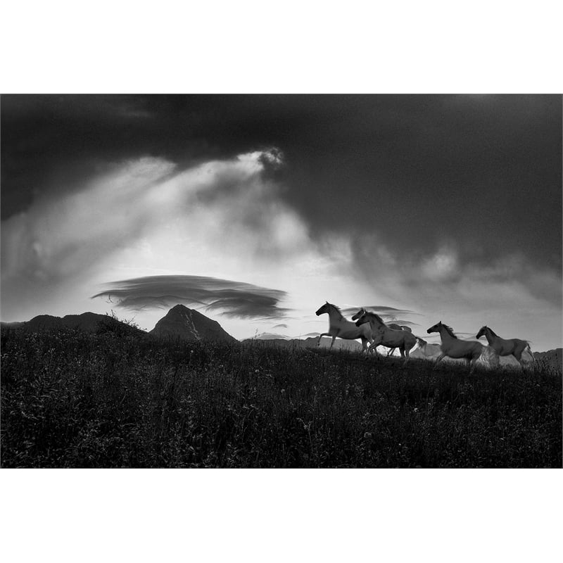 Giant Art 84x54 Before the storm Fine Art Giant Canvas Print in White