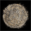 Giant Art 54x54 Mysterious Tree Rings Fine Art Giant Canvas Print in Multi-Color