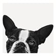 Giant Art 54x54 Loyalty Fine Art Giant Canvas Print in Multi-Color