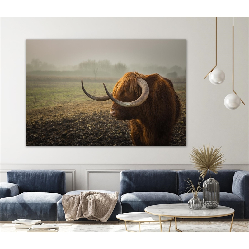 Giant Art 72x48 Longhorn Fine Art Giant Canvas Print in Green