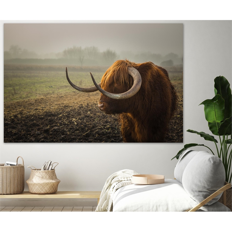 Giant Art 72x48 Longhorn Fine Art Giant Canvas Print in Green