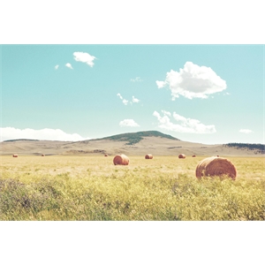 Giant Art 84x54 A Day in the Fields Fine Art Giant Canvas Print in Multi-Color