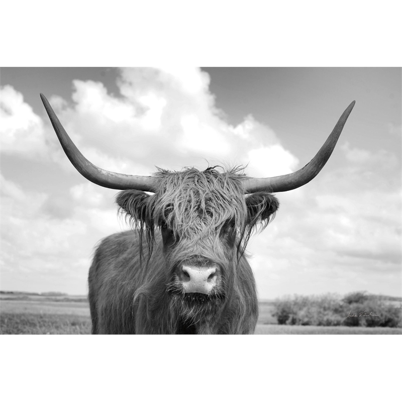 Giant Art 84x54 On the Ranch IV BW Fine Art Giant Canvas Print in Multi-Color