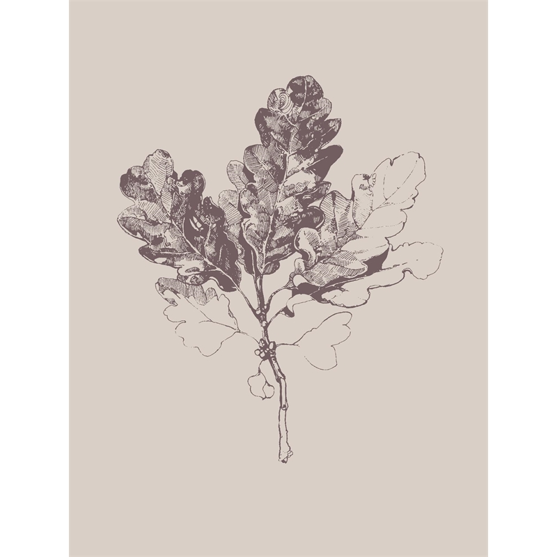 Giant Art 72x54 Botanica 3 Fine Art Giant Canvas Print in Pink