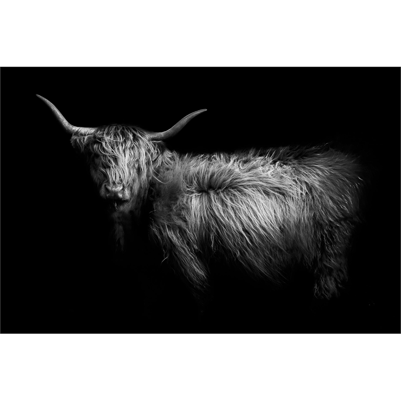 Giant Art 72x48 Hello Fine Art Giant Canvas Print in Multi-Color