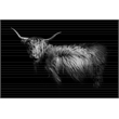 Giant Art 72x48 Hello Fine Art Giant Canvas Print in Multi-Color