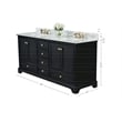 Audrey 66 in. Bath Vanity Set in Black Onyx with Gold Hardware