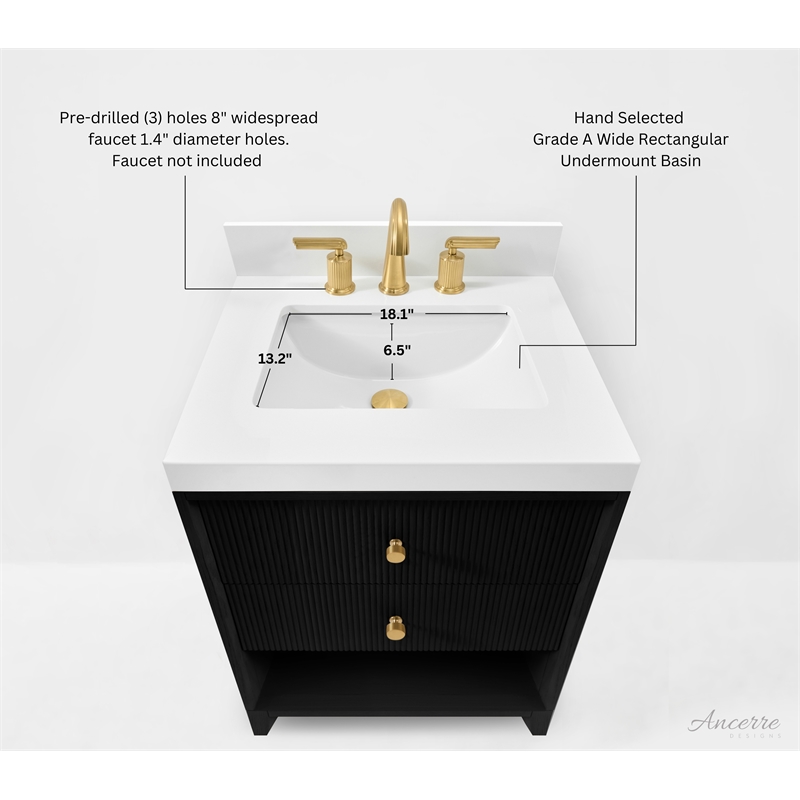 Momo 24 in. Bath Vanity in Black Oak with White Quartz Top and Undermount Basin