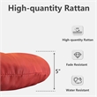 Claborn Swivel Outdoor Papasan Chair Brown Wicker in Orange by Thy-Hom