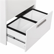 AGHDECO Alaska 2-Drawer Engineered Wood File Cabinet in White