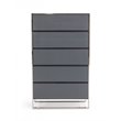 Limari Home Jolene Modern Veneer Wood and Stainless Steel Bedroom Chest in Gray