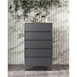 Limari Home Jolene Modern Veneer Wood and Stainless Steel Bedroom Chest in Gray