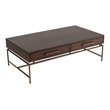 Limari Home Nathan Acacia Wood/Metal Coffee Table in Dark Brown/Antique Brass