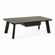 Limari Home Chadwick Wood/Stainless Steel Coffee Table in Ebony Black/Rosegold