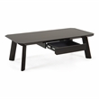 Limari Home Chadwick Wood/Stainless Steel Coffee Table in Ebony Black/Rosegold