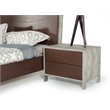 Limari Home Conner Modern Veneer Wood Bedroom Nightstand in Dark Walnut/Gray