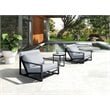 Limari Home Boardwalk Fabric and Aluminum Lounge Chair Set in Gray/Black