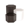 Limari Home Newmont Hexagonal Modern MDF Wood End Table in Dark Gray Finish