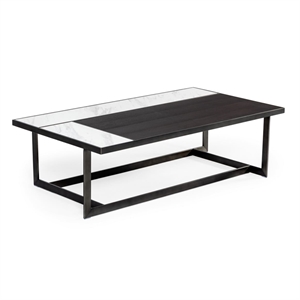 Limari Home Fargo 51&quot Rectangular Ceramic & Bronze Coffee Table - Black/White