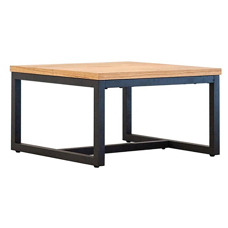 Limari Home Fagan Square Low Metal & Veneer End Table in Oak/Black Finish