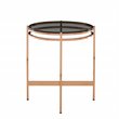 Limari Home Bradford Round Modern Metal & Glass End Table in Gold/Black