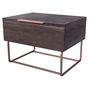 Limari Home Benzon Modern Oak Wood Veneer & Stainless Steel Nightstand in Walnut