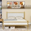 Homy Casa Elegant Queen Upholstered Bed Frame with Gold Metal Tufted Headboard